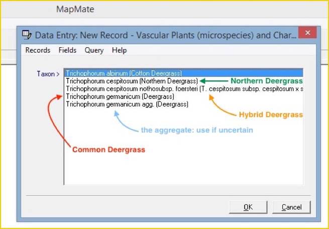 MapMate Trichophorum choices